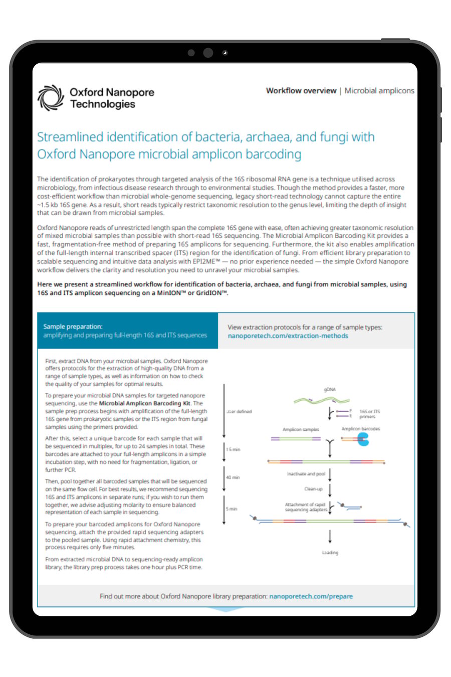 Streamlined identification of bacteria, archaea, and fungi with Oxford ...