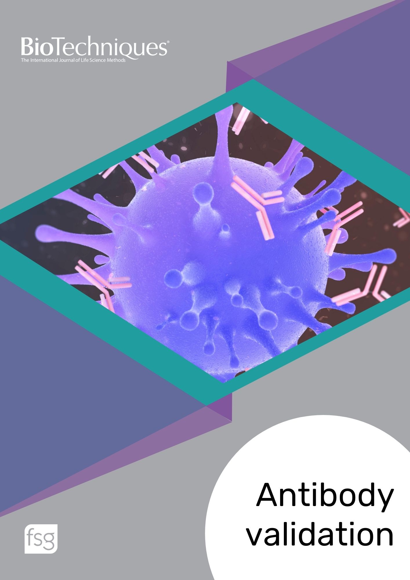 BTN_Antibody Validation_ebook